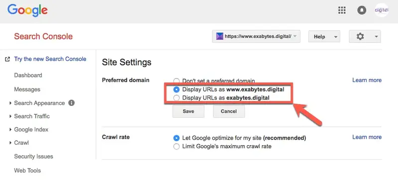 آموزش رفع ارور  Duplicate, Google chose different canonical than user