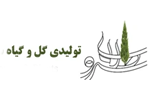 خدمات سئو سایت فروشگاهی | افزایش بازدید سایت فروشگاهی 5 sarv